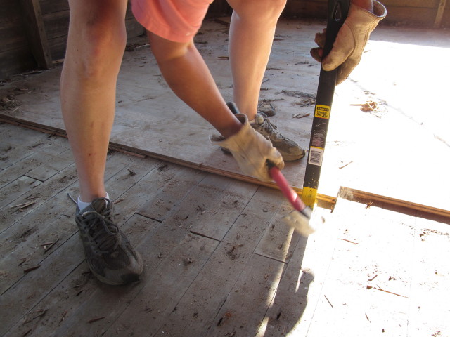 prying up the oak floors