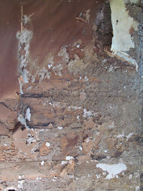 termite damaged boards