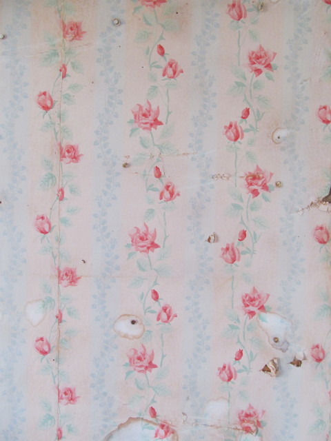 Rose wallpaper