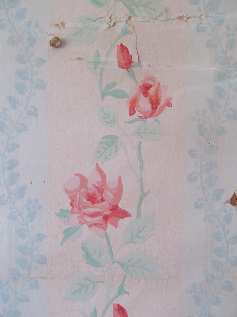 close-up of rose wallpaper