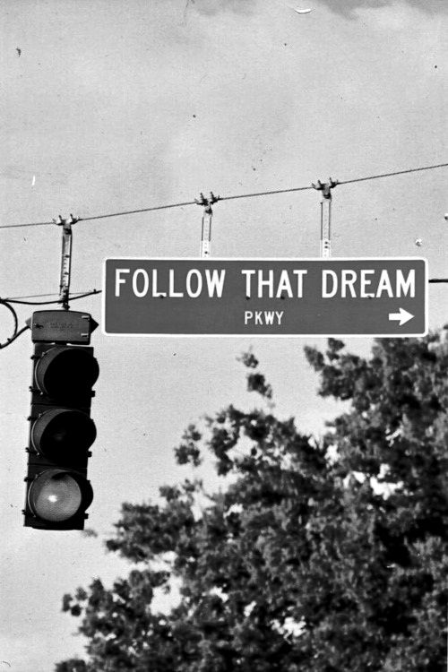 follow that dream
