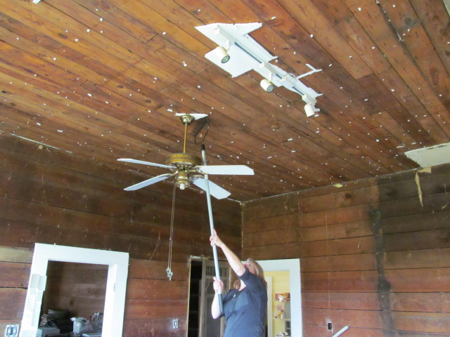removing acoustical ceiling tiles using a rake