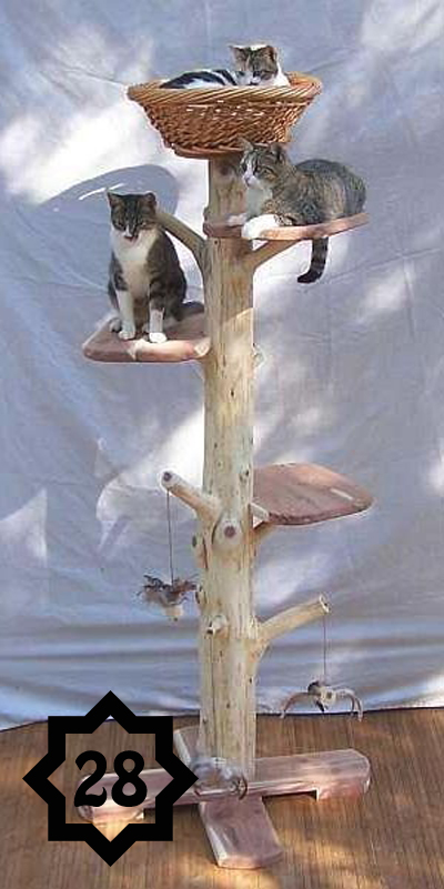 a tree for your cats