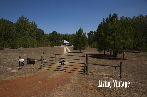 Living Vintage - location of our dogtrot from the road