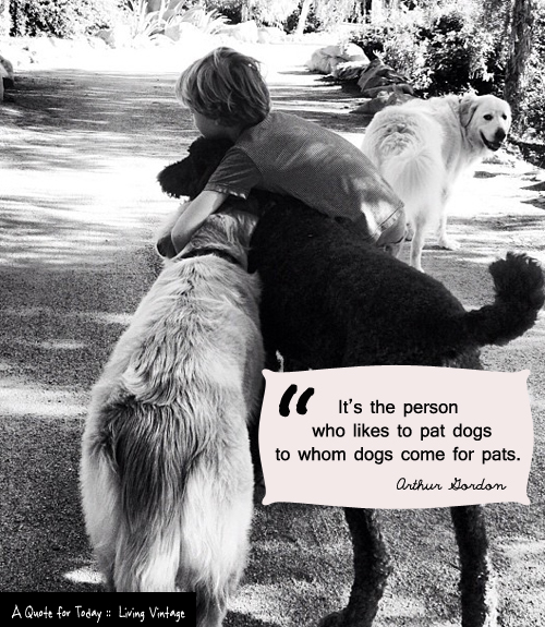 Ever notice how dogs gravitate towards people who will pet them?