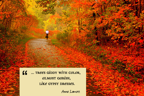 A Quote for Today :: Autumn - Living Vintage