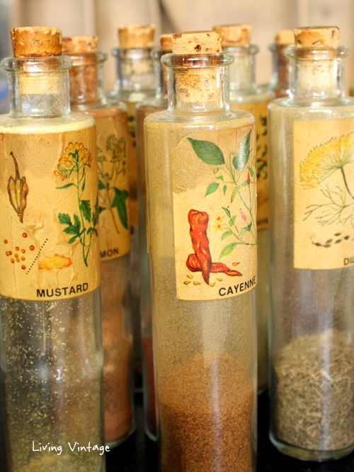 A Little Spice and Everything Nice - Living Vintage