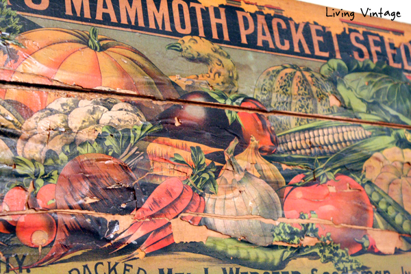 an old seed box lid displayed in our kitchen - Living Vintage