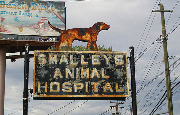 Smalley's Animal Hospital - featured on Friday Favorites - Living Vintage