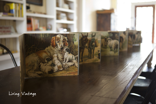 an old fold-up book with wonderful illustrations of farm animals - Living Vintage