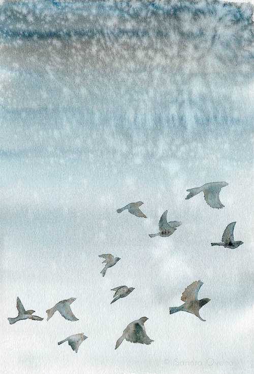 fine art print of an original watercolor painting of birds by Sandra Ovono - featured on Living Vintage
