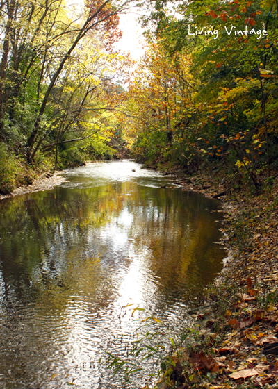 A Walk in the Fall - Living Vintage