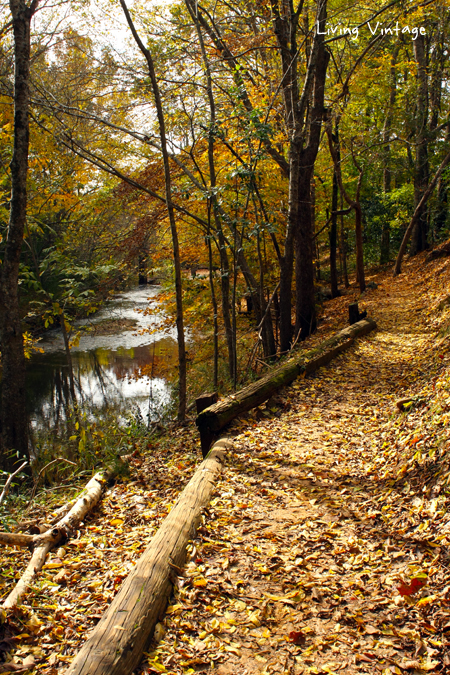 A Walk in the Fall - Living Vintage