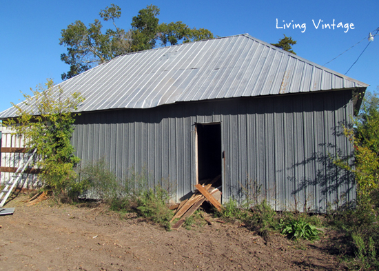 the back of the house