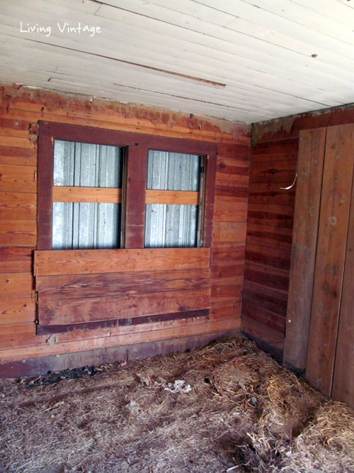 we removed hay and the tin covering the windows