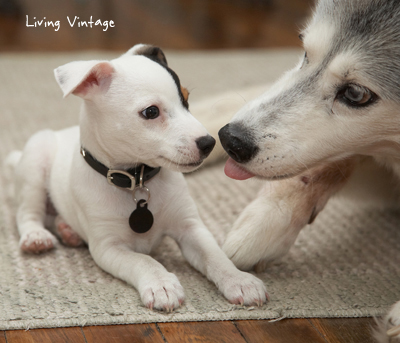 Kacy at 3 months with big sister - Living Vintage