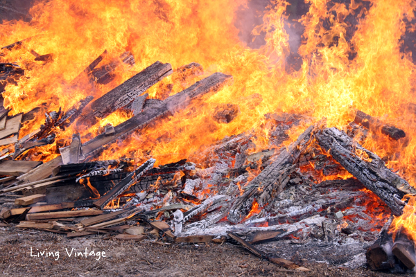 burning nicely - Living Vintage