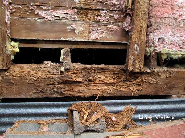 closeup of moisture (or termite) damage