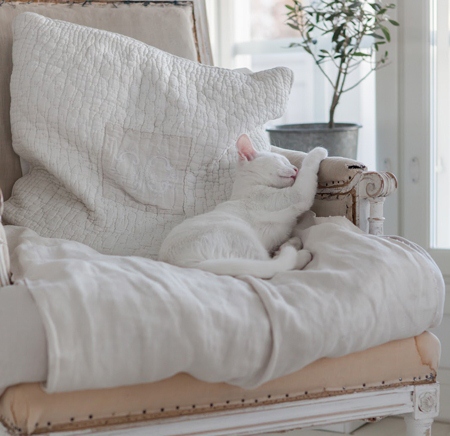 sleeping kitty - featured on Living Vintage's Friday Favorites. Come on over and see what else we picked!