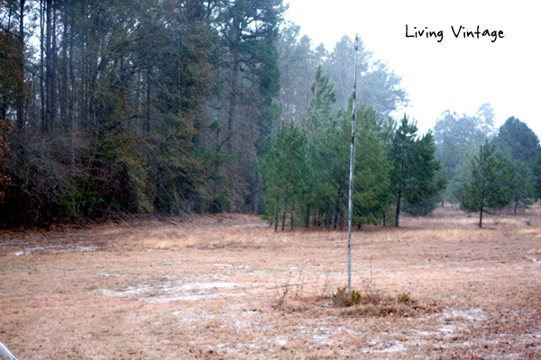 snow flurries in Texas - Living Vintage