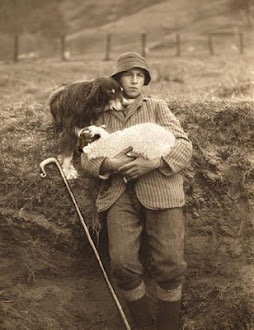 12 Dogs and Their Humans - Living Vintage