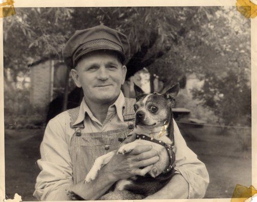 12 Dogs and Their Humans - Living Vintage