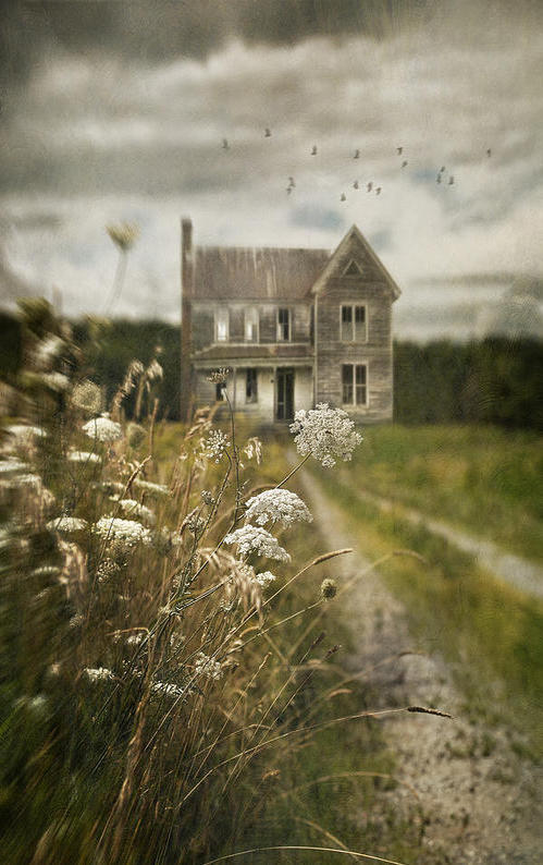a beautiful image of an abandoned farmhouse - Friday Favorites - Living Vintage