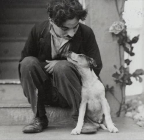 12 Dogs and Their Humans - Living Vintage