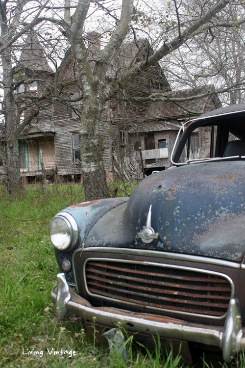 an abandoned Victorian with a backyard surprise