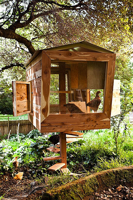 a chicken coop with a view - one of 8 picks for this week's Friday Favorites - Living Vintage