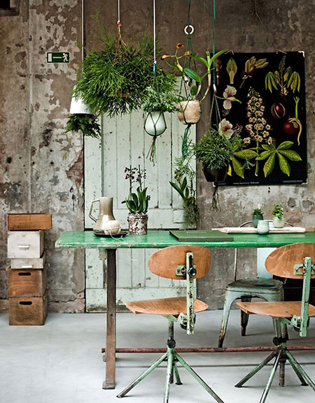 a wonderful green room - Friday Favorites - Living Vintage