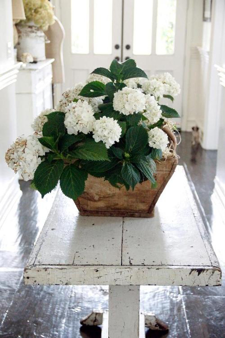 beautiful entryway - Friday Favorites - Living Vintage