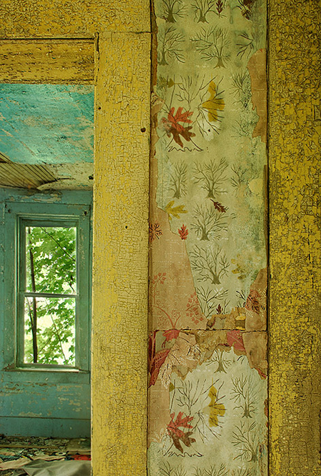 beautiful old wallpaper inside an abandoned house - Friday Favorites - Living Vintage