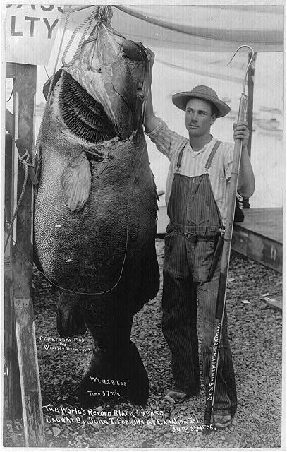 12 fascinating and amusing vintage fishing photos - Living Vintage