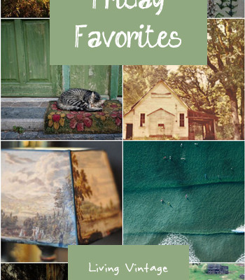 Friday Favorites #24