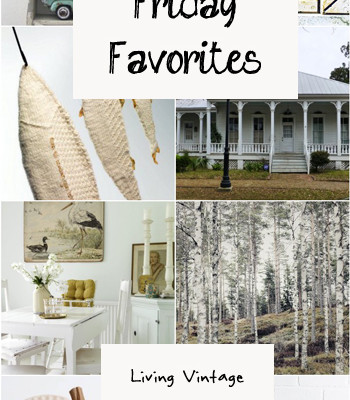 Friday Favorites #23