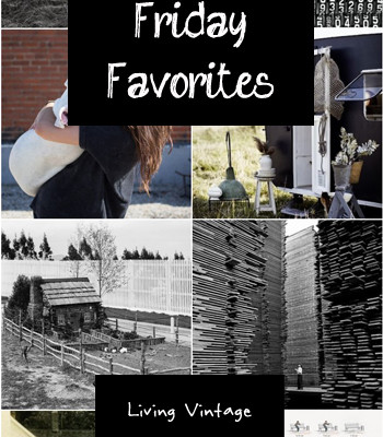 Friday Favorites #20