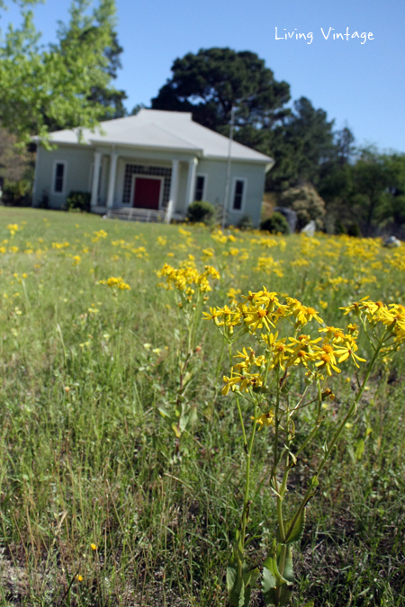 Spring in East Texas - Living Vintage