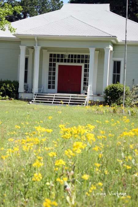 Spring in East Texas - Living Vintage