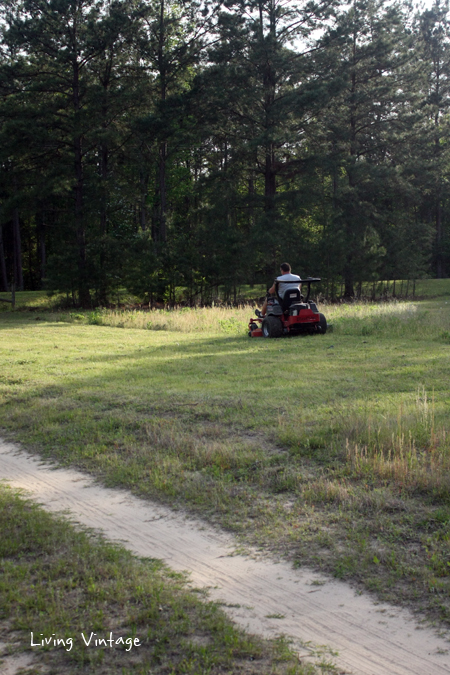 Spring in East Texas - Living Vintage