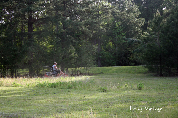 Spring in East Texas - Living Vintage