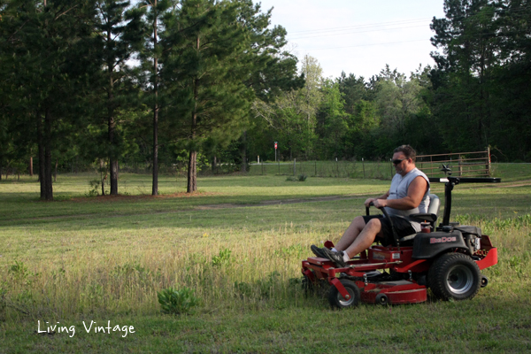 Spring in East Texas - Living Vintage