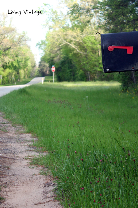 Spring in East Texas - Living Vintage