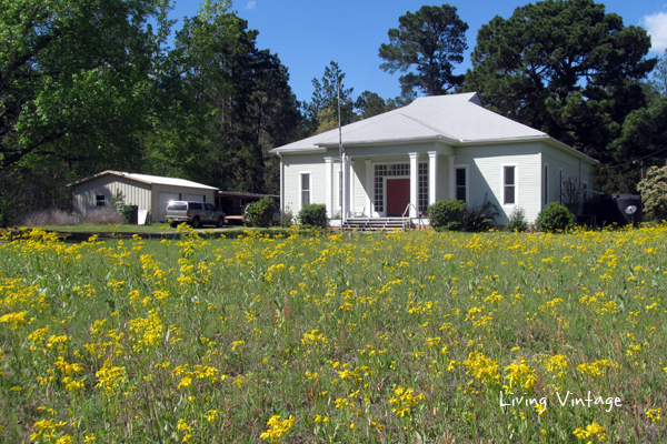 Spring in East Texas - Living Vintage