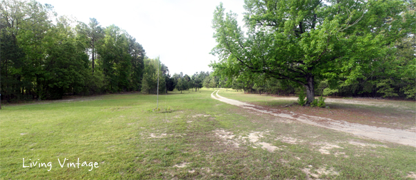 Spring in East Texas - Living Vintage