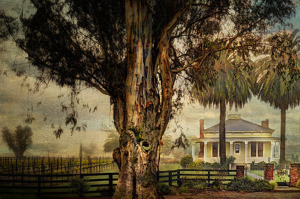the artist captured the low country beautifully - one of 8 picks for this week's Friday Favorites - Living Vintage