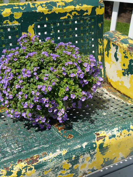 yellow and green garden bench - one of 8 picks for this week's Friday Favorites - Living Vintage
