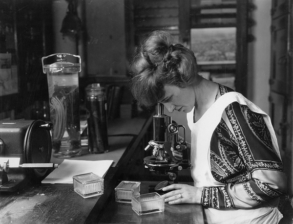 What Can a Woman Do? 25 fascinating vintage photos of working women. {Living Vintage}