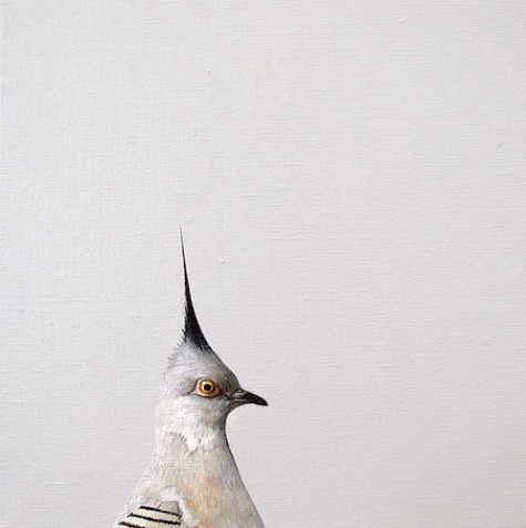 A fun and quirky illustration of a pigeon - one of 8 picks for this week's Friday Favorites - Living Vintage