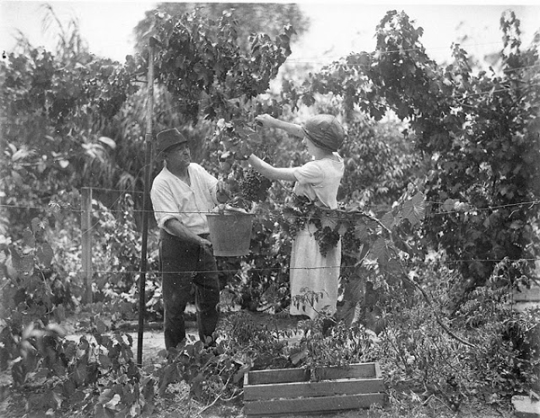 What Can a Woman Do? 25 fascinating vintage photos of working women. {Living Vintage}